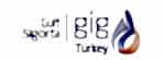 gig1logo copy